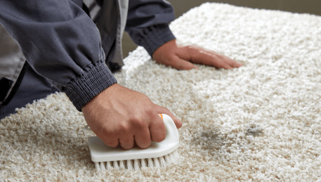 Professional Rug Cleaning Hallam